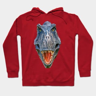 Mean looking T Rex Hoodie